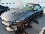 Audio Equipment Radio Control Panel Fits 19-23 Mustang 12049716. Fixed Price $157.78.