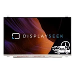 Hp 20F22EA 17.3" Hd+ Led Lcd Display Screen. Fixed Price $79.22.