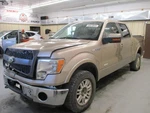 Audio Equipment Radio Amplifier Fits 13-14 Ford F150 Pickup 1745187. Fixed Price $99.90.