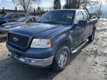 Audio Equipment Radio Receiver Am-fm-cd Fits 04-05 Ford F150 Pickup 1434955. Fixed Price $100.00.
