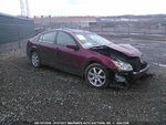 Audio Equipment Radio Receiver Bose System Fits 04-05 Maxima 1696307. Fixed Price $80.00.