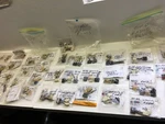 Huge Lot 1980S - 2000S Ford Mopar Toyota Radio Cassette Cd Test Wiring Plugs. Fixed Price $90.00.