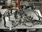 2017 Ford F150 Xl Instrument Panel Dash Wire Harness HL3T14401ALE #228. Fixed Price $149.99.